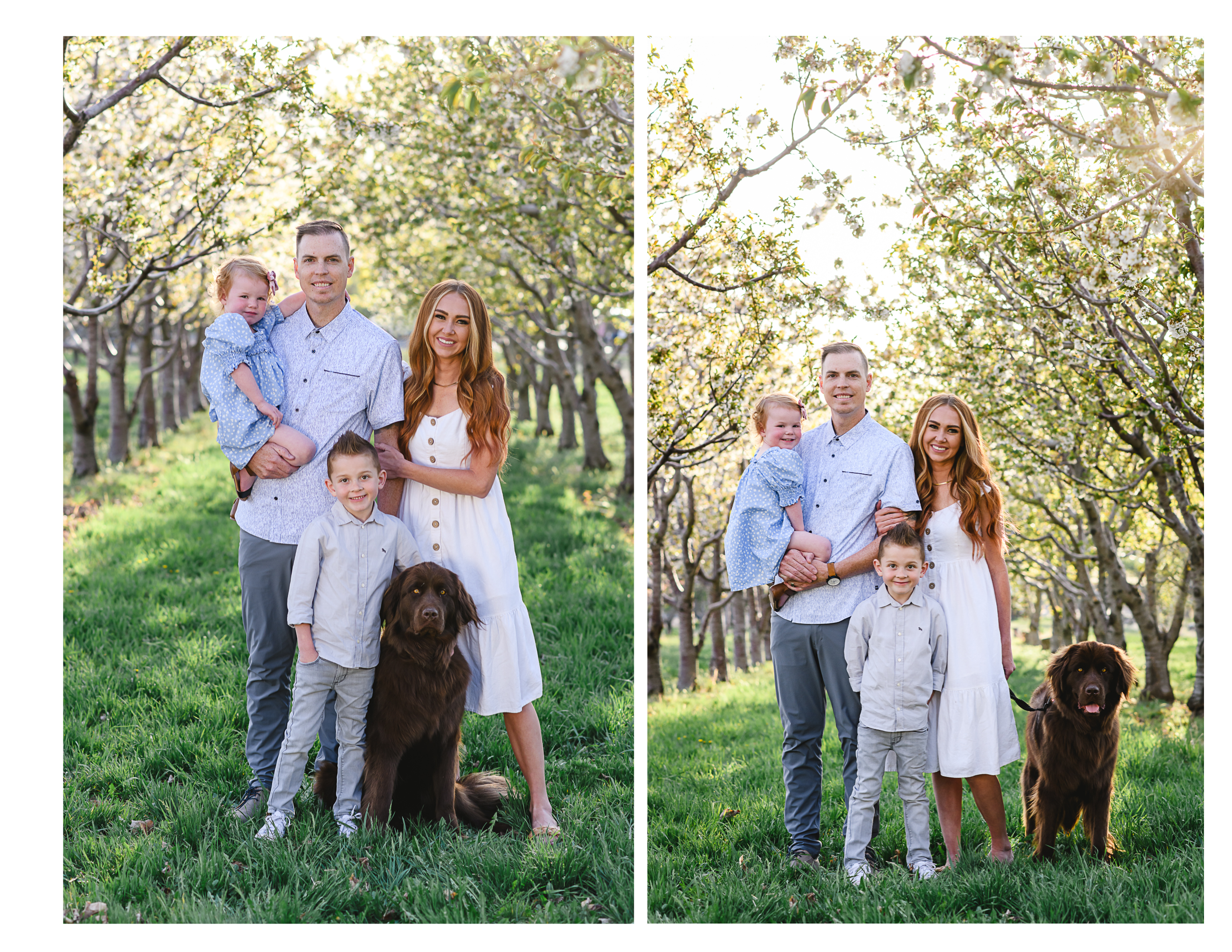 Best Utah Family Photographer